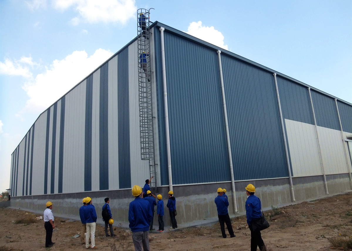Logistics Steel Structure Warehouse Construction / Industrial Steel