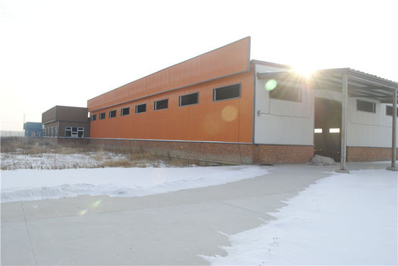 Large Canopy Steel Structure Warehouse Packaging Workshop