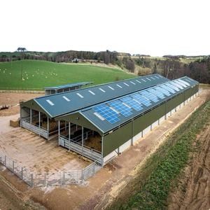 Multi Colored Prefab Steel Structure Poultry Shed Large Span Environmental Friendly