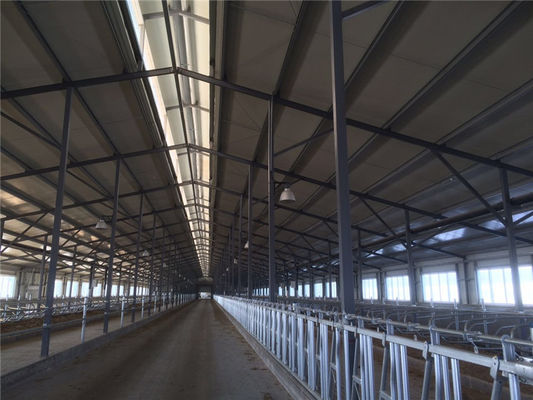 Prefabricated Insulation Steel Cowshed with Sandwich Panel