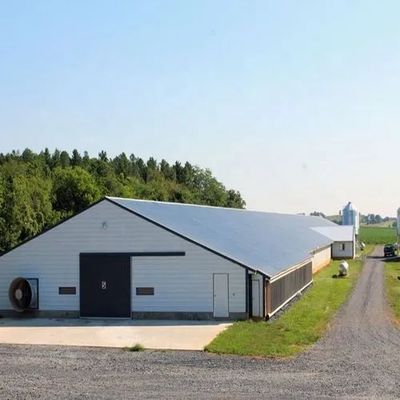 Durable Steel Poultry Houses Customizable Effective Easy Assemble For Modern Farms