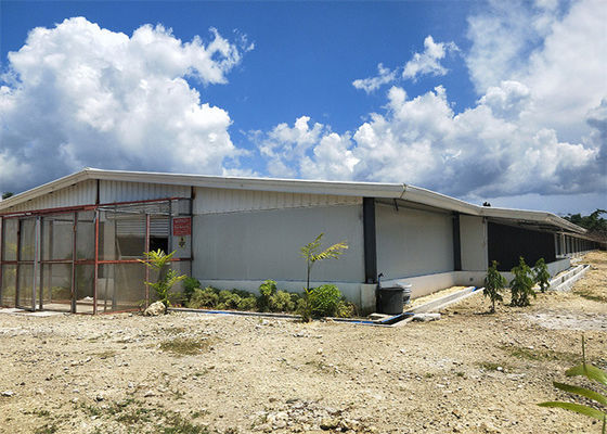 Poultry House Steel Structure Building with Glass Wool Insulation
