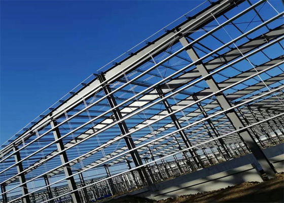 Large Span Steel Structure Building Prefabricated Steel Structure Warehouse