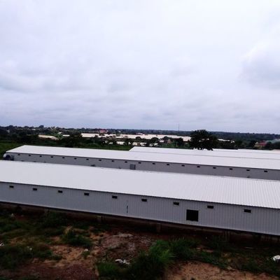 Light Steel Frame Livestock House Building with 50-Year Lifespan