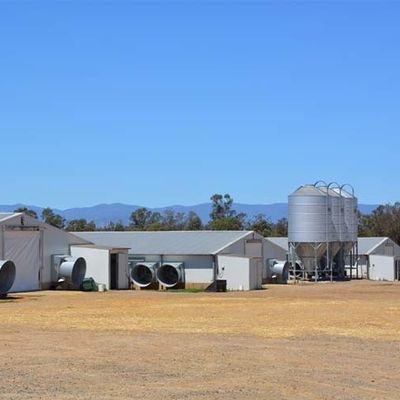 Prefab Steel Poultry Shed Light Structure Q235B Q355B