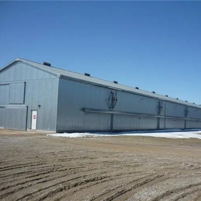 Prefab Steel Poultry Shed Light Structure Q235B Q355B