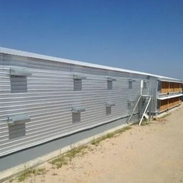 Prefab Steel Poultry Shed Light Structure Q235B Q355B