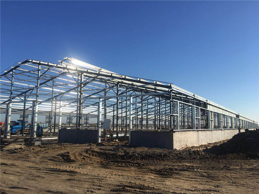 Q235B Prefabricated Steel Structure Cattle Farm Building