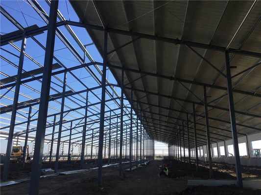 Q235B Prefabricated Steel Structure Cattle Farm Building