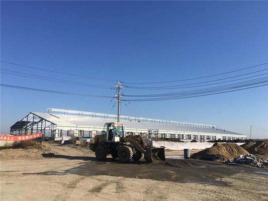 Q235B Prefabricated Steel Structure Cattle Farm Building