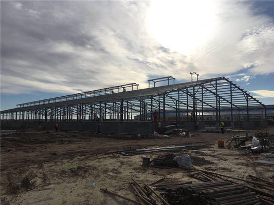 Q355B Prefabricated Steel Structure Building for Milk Processing Plant