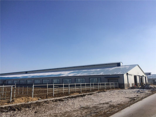 Prefabricated Insulation Steel Cowshed with Sandwich Panel