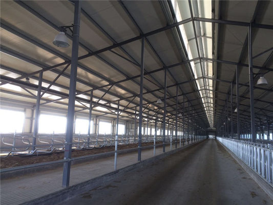 Prefabricated Insulation Steel Cowshed with Sandwich Panel