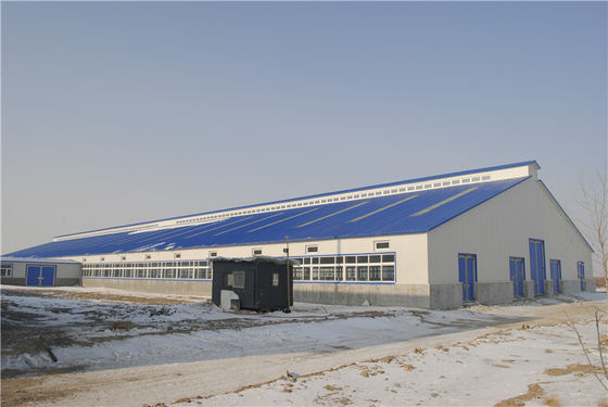 Prefab Steel Structure Warehouse Workshop with Large Span