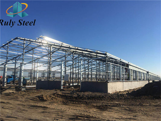 Custom Cattle Shed Steel Structure Prefab Cattle Barns Dairy Farm Agricultural Buildings