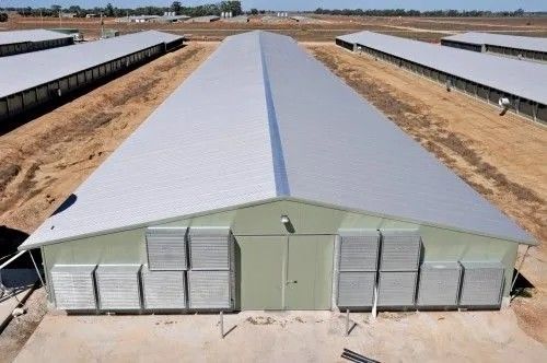 Durable Steel Poultry Houses Customizable Effective Easy Assemble For Modern Farms