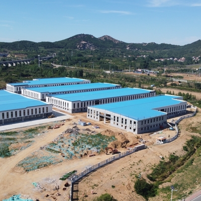 Prefab Steel Structure Building for Warehouse Workshop Construction