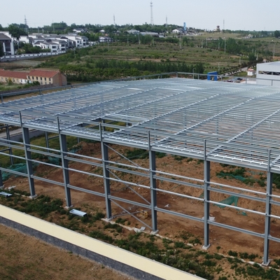 Heavy Duty Steel Structure Plant Q235B Q355B ASTM A36