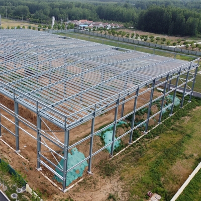 Prefab Steel Structure Warehouse with H-Section Beams 50 Year Lifespan