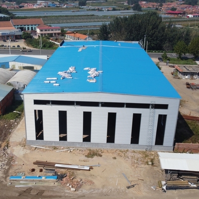 Prefab Steel Structure Warehouse H-Section 4000㎡ CE Certified