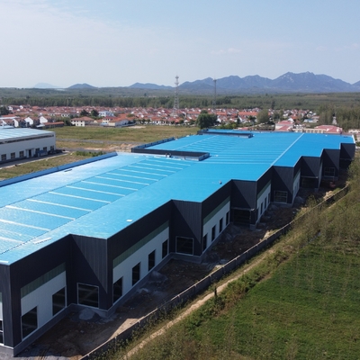 Q355B Prefabricated Steel Warehouse for Machinery Processing