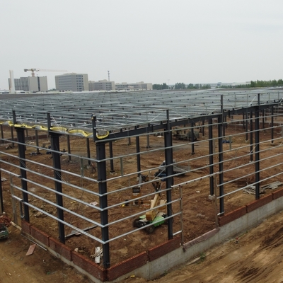 Prefab Steel Structure Warehouse for Pet Food Processing Factory