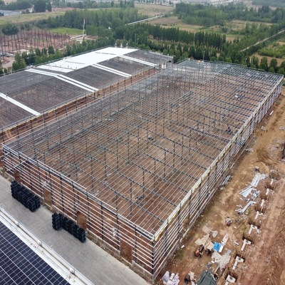 Prefab Steel Structure Warehouse for Pet Food Processing Factory