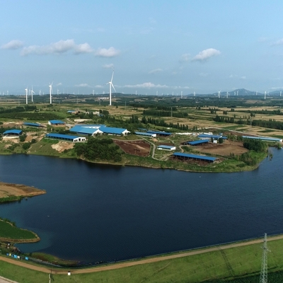 Custom Cow Shed Steel Structure Prefab Cattle Barns Dairy Farm Buildings RULY STEEL