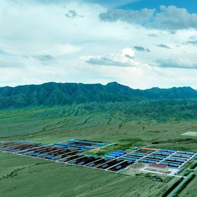 Custom Galvanized Steel Cattle Shed For Livestock Farming