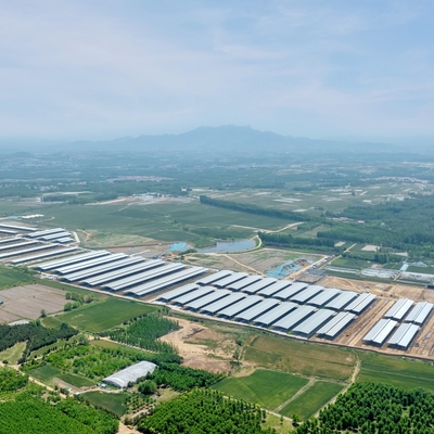 Heavy Duty Steel Horse Stable Modular Design For Customizable Horse Barn Systems