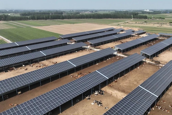 Anti Chew Safe Secure Steel Horse Stable Easy Assembly Horse Shelter