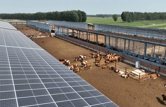 Professional Horse Stalls Corrosion Resistant Indoor Outdoor Use