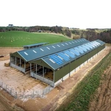 50 Year Steel Poultry House For Broiler Layer Farms With Insulated Panels Livestock Housing Solution