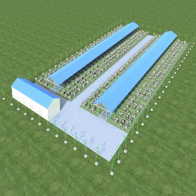 Design Supply Modern Steel Structure Dairy Farm Shed Metal Cattle Shed With Ventilation System