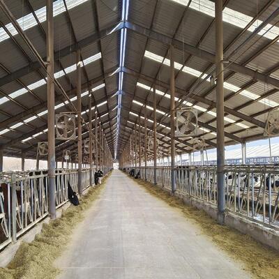 Hot Dipped Galvanized Steel Cattle Shed With Roof Insulation