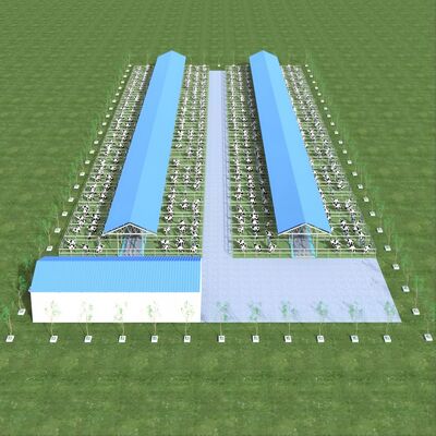 Design Supply Modern Steel Structure Dairy Farm Shed Metal Cattle Shed With Ventilation System