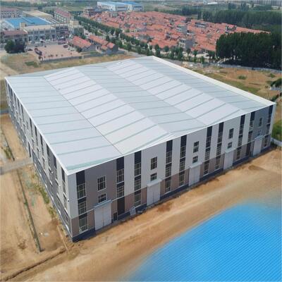 Heavy Steel Structure Logistics Warehouse with Good Price