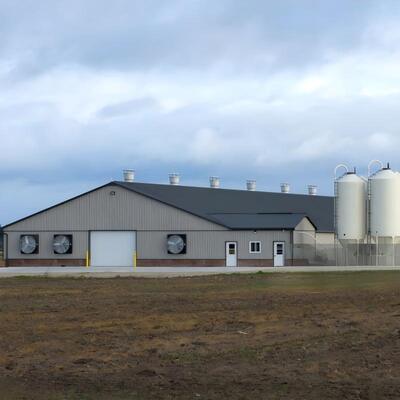 Africa 100m by 20m Insulated Design Prefabricated Steel Structure Chicken House