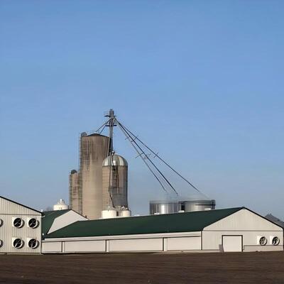Prefabricated Steel Poultry Sheds Quick-Bolt Assembly No Special Tools Required