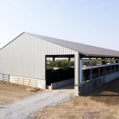 Hot Dipped Galvanized Steel Cattle Shed With Roof Insulation