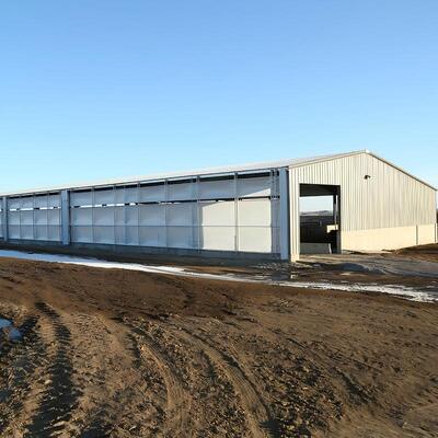 Premium Pre-Engineered Steel Cattle Shelter Easy Assembly