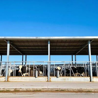 	
Prefabricated Buildings Poultry House Steel Structure Poultry Farm House Steel Building Frame for Cow Shed