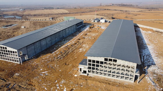 Prefabricated Modern Steel Structure Poultry House For Egg-Laying Hens