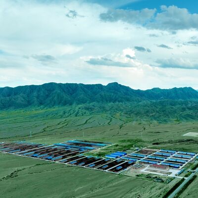 Long Serive Life Prefab Steel Structure Cattle Shed With Surface Treatment