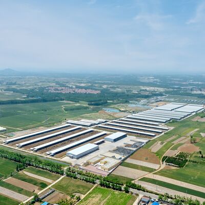 Long Serive Life Prefab Steel Structure Cattle Shed With Surface Treatment