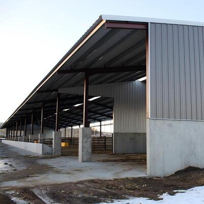 Hot Dipped Galvanized Steel Cattle Shed With Roof Insulation