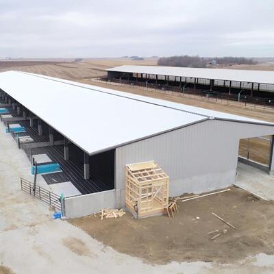 Hot Dipped Galvanized Steel Cattle Shed With Roof Insulation