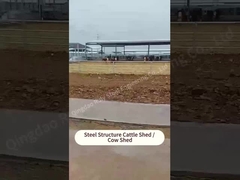 Steel structure cattle shed cow shed